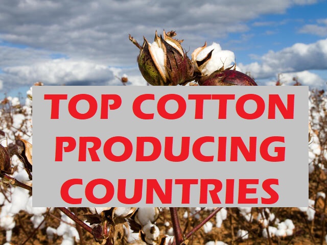 Cotton producing countries