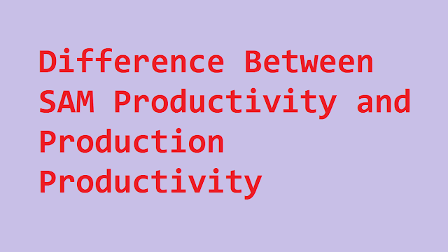 SAM productivity 